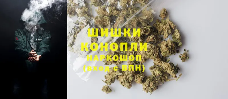 Каннабис OG Kush  Жигулёвск 